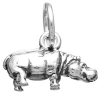 Charm Giovanni Raspini in Argento 11170 - 11170